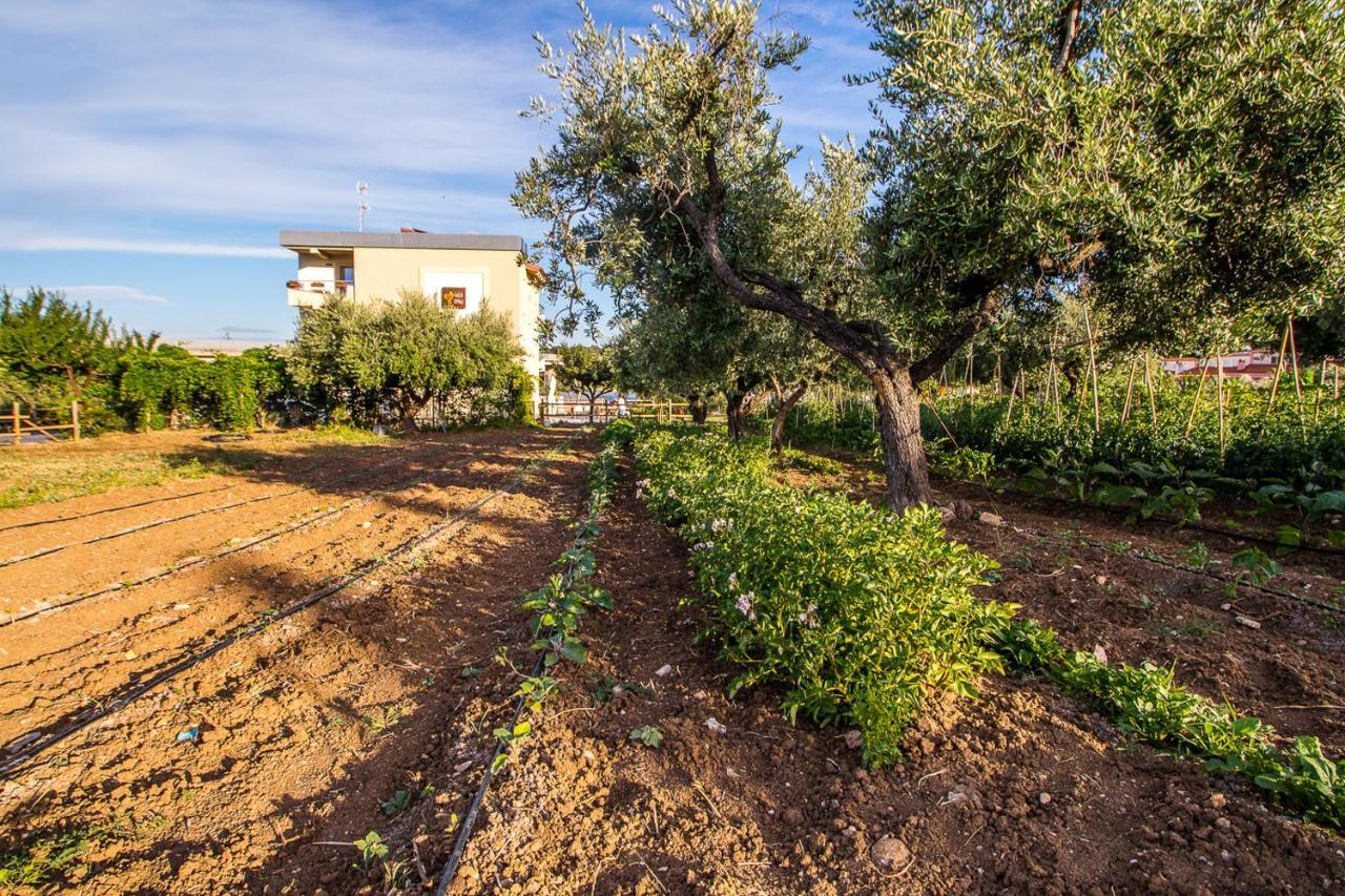 Il Gallo Con Gli Stivali Termoli Eksteriør bilde