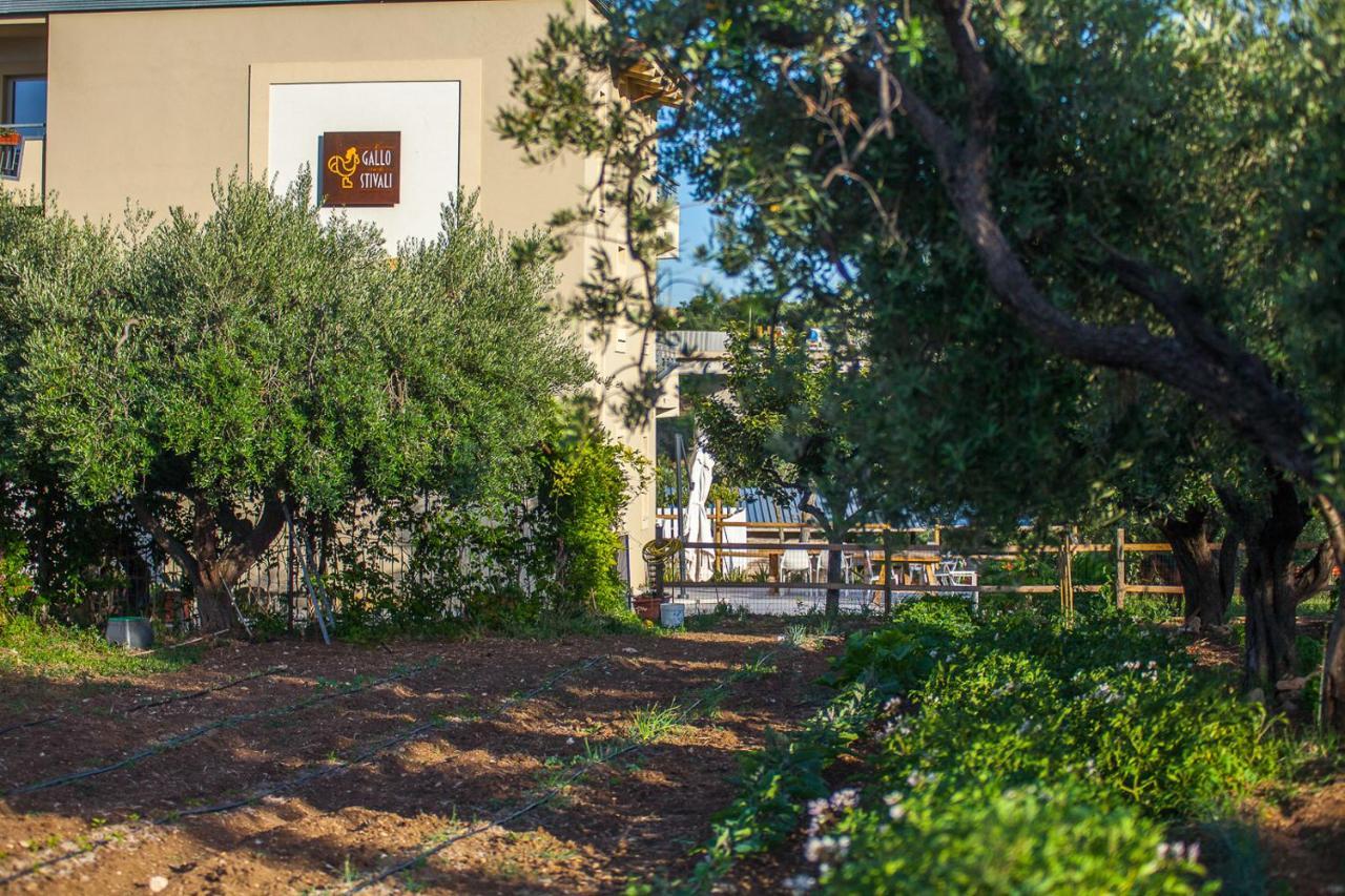 Il Gallo Con Gli Stivali Termoli Eksteriør bilde
